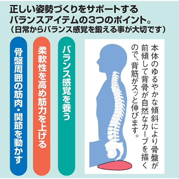 秦運動具工業(HATAS) バランスディスク ビッグ60㎝ | スポーツドリカム